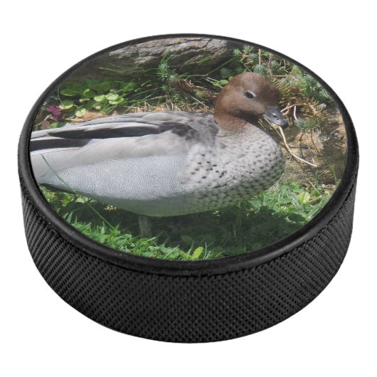 Australian Wood Duck in Tranquil Garden アイスホッケーパック (3/4)