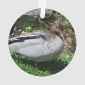 Australian Wood Duck in Tranquil Garden オーナメント (裏面)