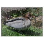 Australian Wood Duck in Tranquil Garden カッティングボード (正面)