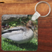 Australian Wood Duck in Tranquil Garden キーホルダー (裏面)