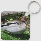 Australian Wood Duck in Tranquil Garden キーホルダー (裏面)