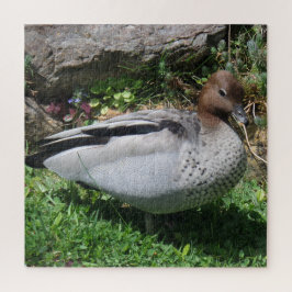 Australian Wood Duck in Tranquil Garden ジグソーパズル