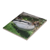 Australian Wood Duck in Tranquil Garden タイル (側面)