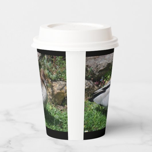 Australian Wood Duck in Tranquil Garden 紙コップ (左)