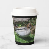 Australian Wood Duck in Tranquil Garden 紙コップ (裏面)