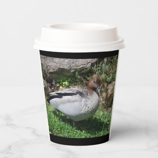 Australian Wood Duck in Tranquil Garden 紙コップ (裏面)
