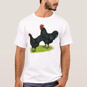 Australorpの黒い鶏 Tシャツ