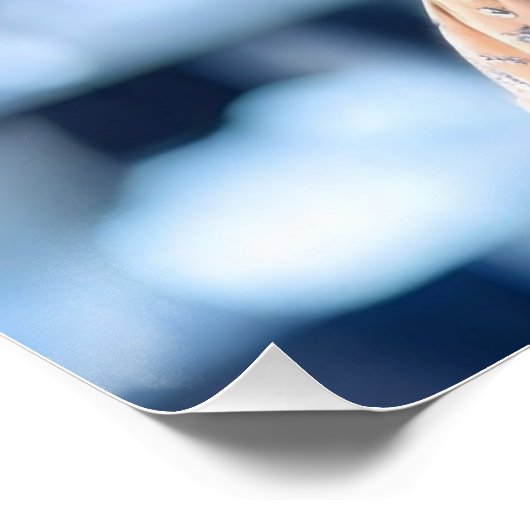 AUSTRIA - I LOVE AUSTRIA - PRALINES ポスター (コーナー)