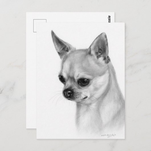 Authentic Chihuahua Artwork ポストカード (正面/裏面)