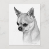 Authentic Chihuahua Artwork ポストカード (正面)