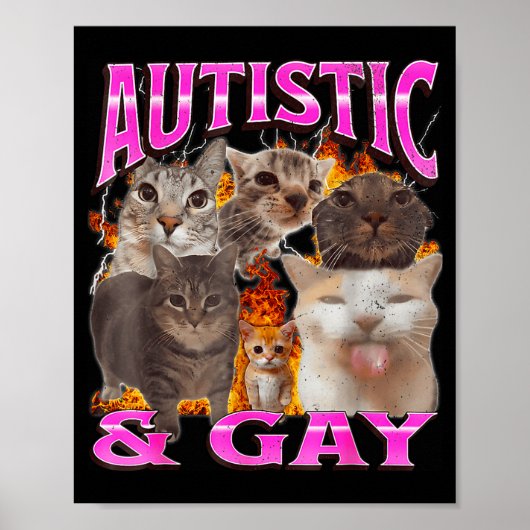 Autistic And Gay Funny Cat Meme Bootleg Graphic  ポスター (正面)