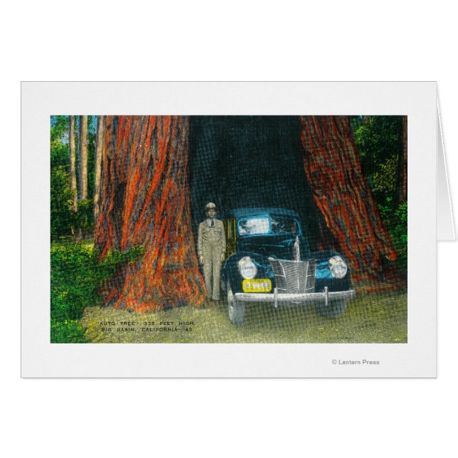 Auto TreeBig Basin州パークの表示 (正面横)