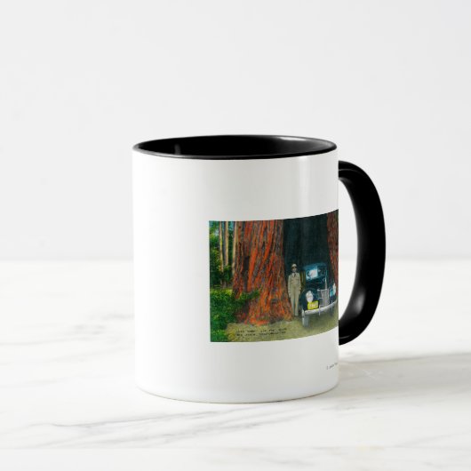 Auto TreeBig Basin州パークの表示 マグカップ (正面右)