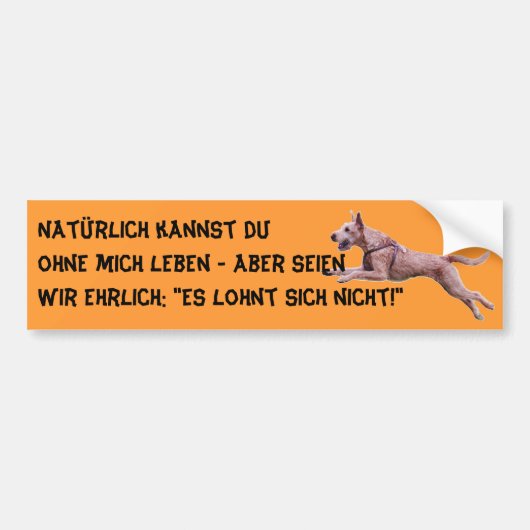 Autoaufkleber "Natürlich kannst du..." バンパーステッカー (正面)