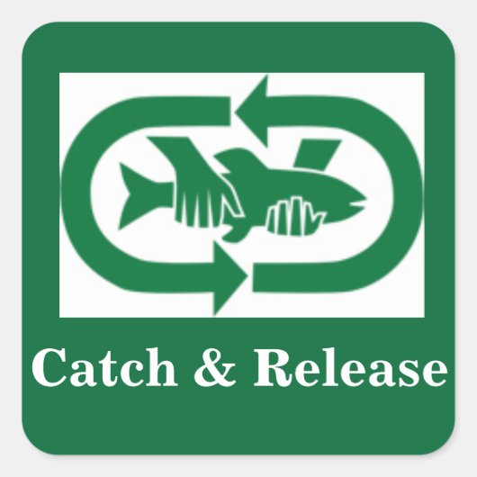 Autocollant "Catch & Release" スクエアシール (正面)