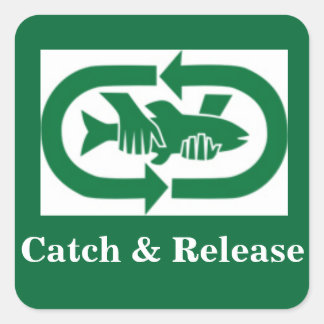 Autocollant "Catch & Release" スクエアシール