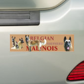 autocollant pour voiture belgian shepherd malinois バンパーステッカー (車上)