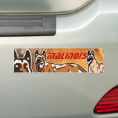 autocollant pour voiture malinois バンパーステッカー (車上)