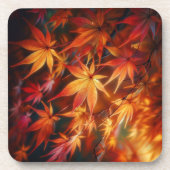 Automne コースター (正面)