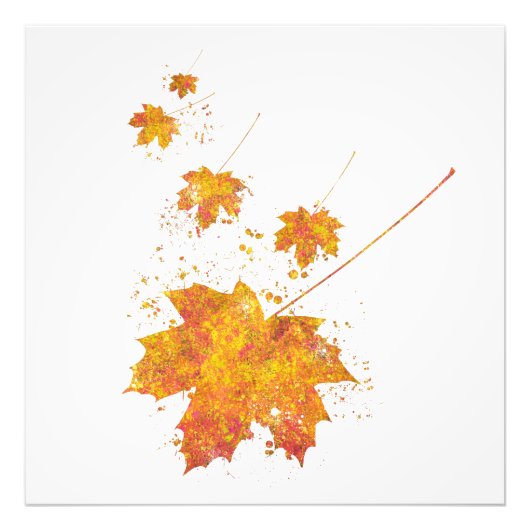 Automne Feuille Forêt Sauvage Nature Monde Terre V フォトプリント (正面)