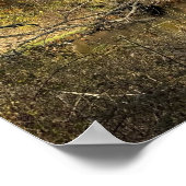 Autum Reflections on Creek Poster ポスター (角)
