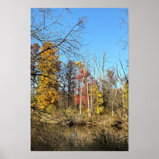 Autum Reflections on Creek Poster ポスター (正面)