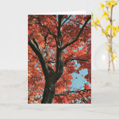 AUTUMN (カー空白のド) カード (黄色い花)