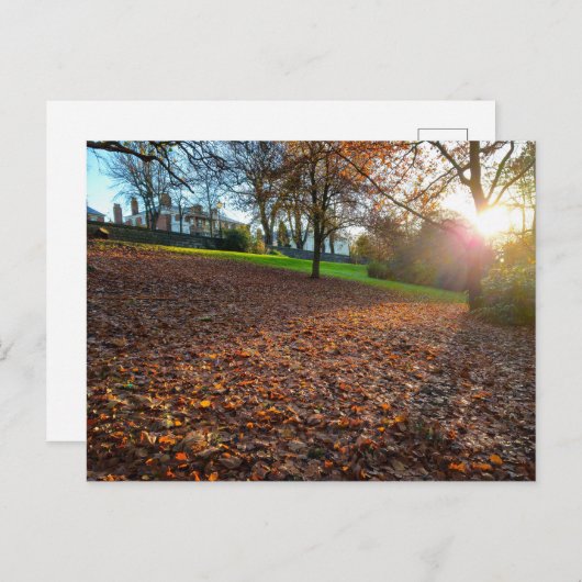 Autumn  ポストカード (正面/裏面)