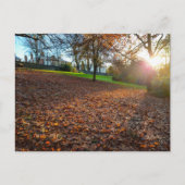 Autumn ポストカード (正面)