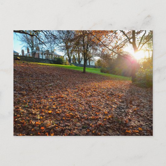 Autumn  ポストカード (正面)