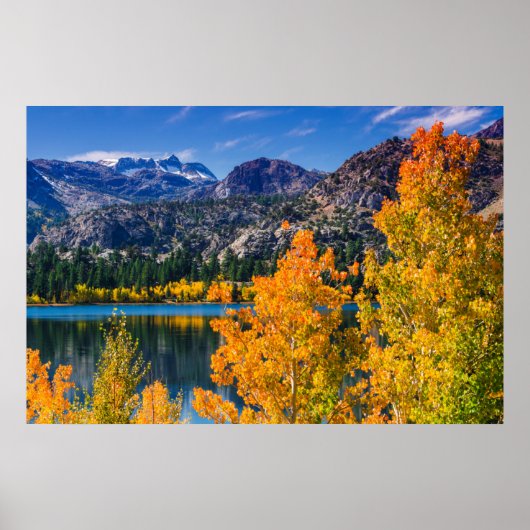 Autumn around June Lake, California ポスター (正面)