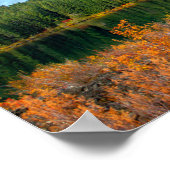 Autumn at 澄ん Lake Poster ポスター (角)