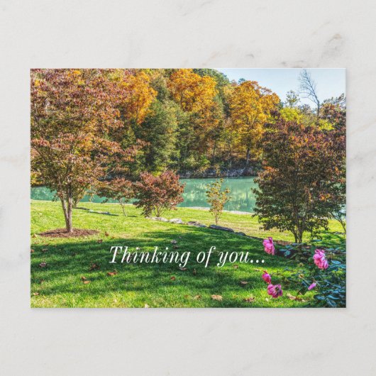 Autumn At Dogwood 考える'S Of Youポストカード ポストカード (正面)