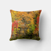 Autumn at Sims Pond North Carolina，ブルーリッジ クッション (裏面)