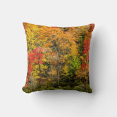 Autumn at Sims Pond North Carolina，ブルーリッジ クッション (正面)