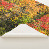 Autumn at Sims Pond North Carolina,ブルーリッジ シェルパブランケット (3/4)