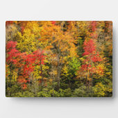 Autumn at Sims Pond North Carolina,ブルーリッジ フォトプラーク (正面)