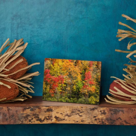 Autumn at Sims Pond North Carolina,ブルーリッジ フォトプラーク (側面)