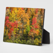 Autumn at Sims Pond North Carolina,ブルーリッジ フォトプラーク (側面)