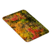 Autumn at Sims Pond North Carolina，ブルーリッジ マグネット (右側)