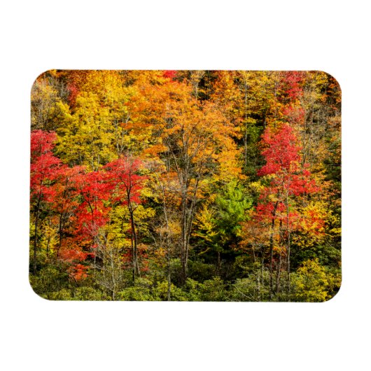 Autumn at Sims Pond North Carolina，ブルーリッジ マグネット (横)