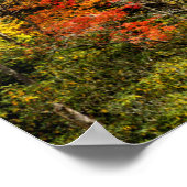 Autumn at Sims Pond North Carolina, Blue Ridge ポスター (角)