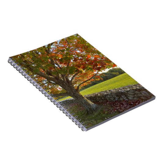 Autumn at Stone Wall Spiral Notebook ノートブック (右側)