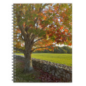 Autumn at Stone Wall Spiral Notebook ノートブック (正面)