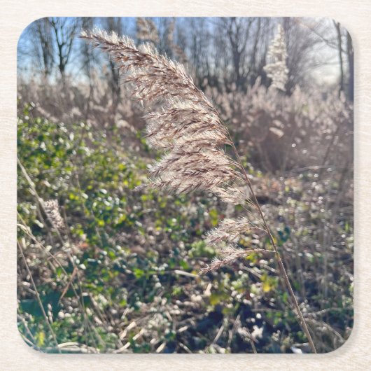 Autumn bliss.. スクエアペーパーコースター (正面)