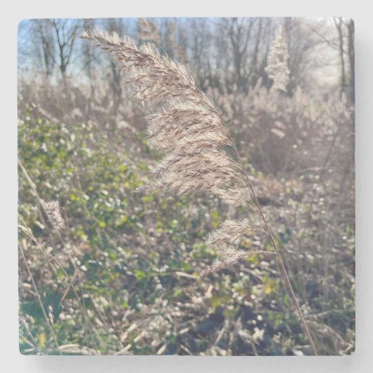 Autumn bliss.. ストーンコースター (正面)