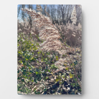 Autumn bliss.. フォトプラーク