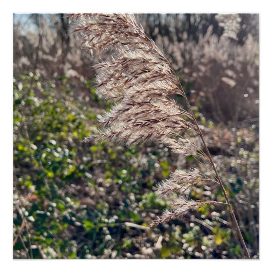 Autumn bliss.. ポスター (正面)