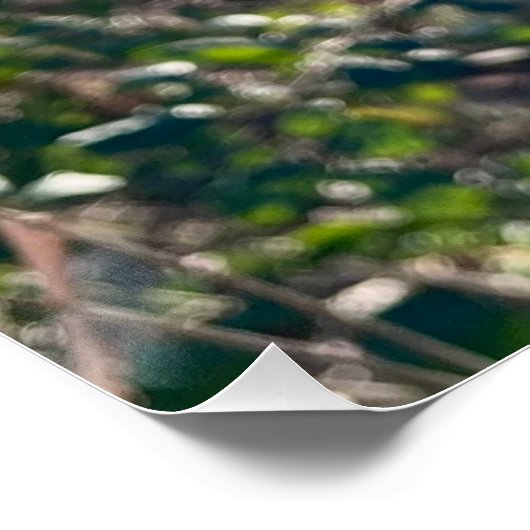 Autumn bliss.. ポスター (コーナー)