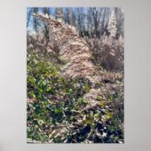 Autumn bliss.. ポスター (正面)